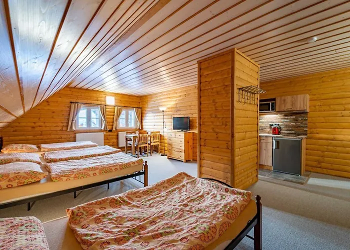 Apartman U Bobra-3 By Interhome Horní Rokytnice