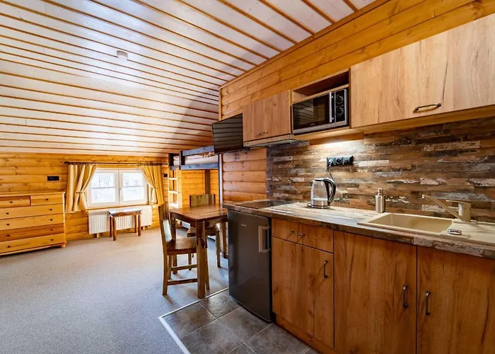 Apartman U Bobra-3 By Interhome Horní Rokytnice